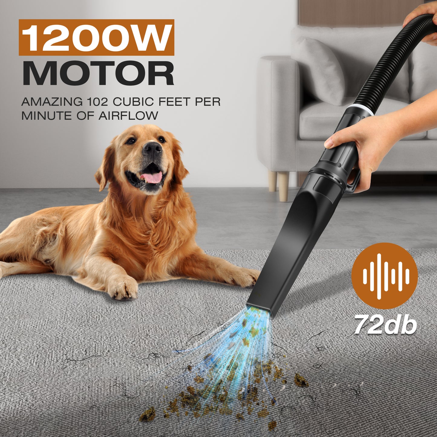 High power car vacuum for cleaning carpet of pet owner